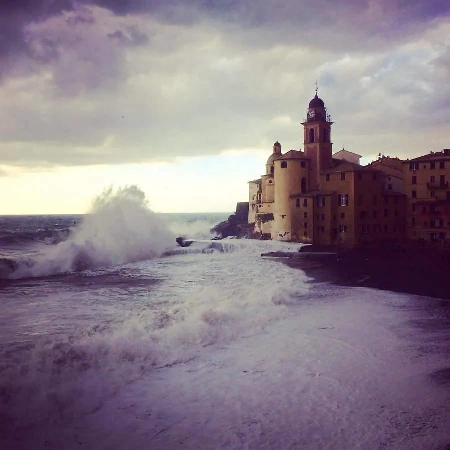 Holiday home La Casa Della Fiore Camogli